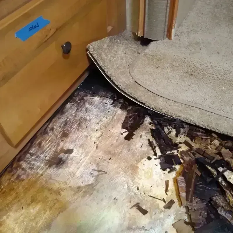 Wood Floor Water Damage in Grant County, WA